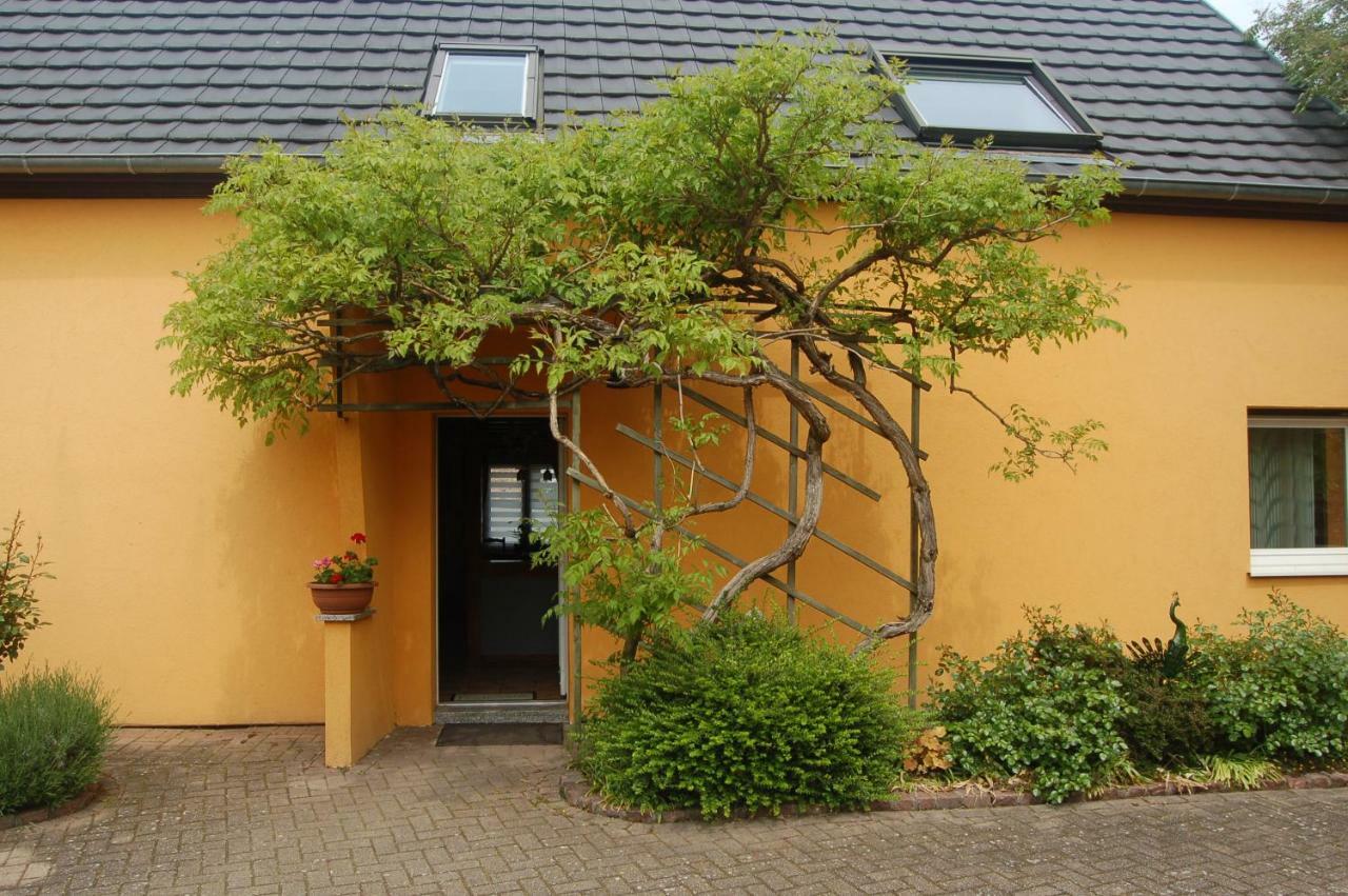 Le Gite A L'Ombre Du Tilleul Obersaasheim Exterior foto